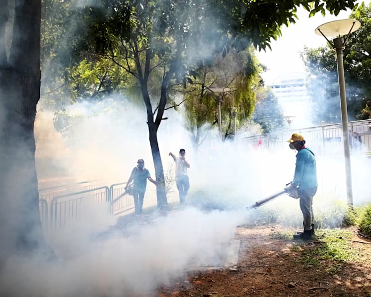 Australia, Taiwan, South Korea issue travel warnings for Singapore after Zika outbreak