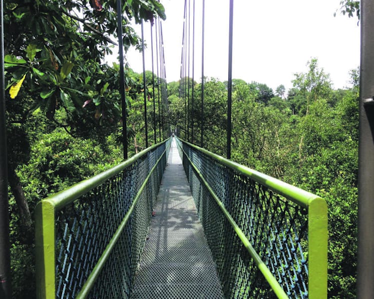 More measures to reduce impact of site surveys for Cross Island Line