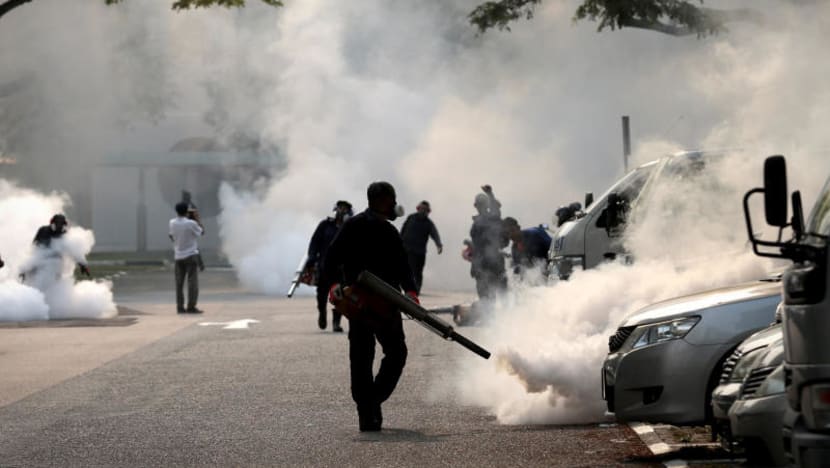 Eradicating the source key to fighting dengue, Zika in long run: Masagos