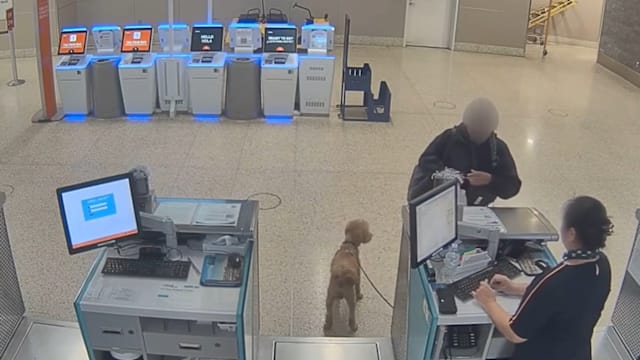 不能带狗登机 美国女子机场弃狗还拒捕