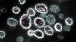 Related article image