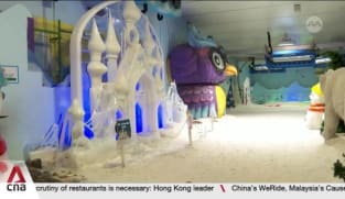 Some attractions in Singapore seeing dip in local visitors during June holidays 