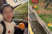 “Fruit In S’pore Is Expensive”: Chinese Woman Picks Up Hungry Ghost Month Offerings To Eat 