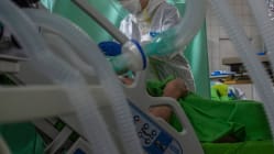 Related article image