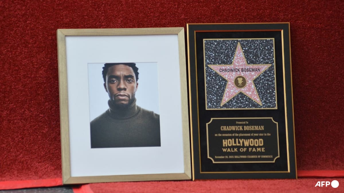 Black Panther star Chadwick Boseman gets Hollywood star