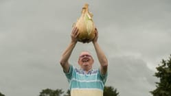 Related article image