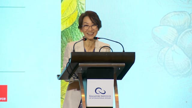 东南亚面对地缘政治和气候变化 傅海燕：可持续发展能化危为机