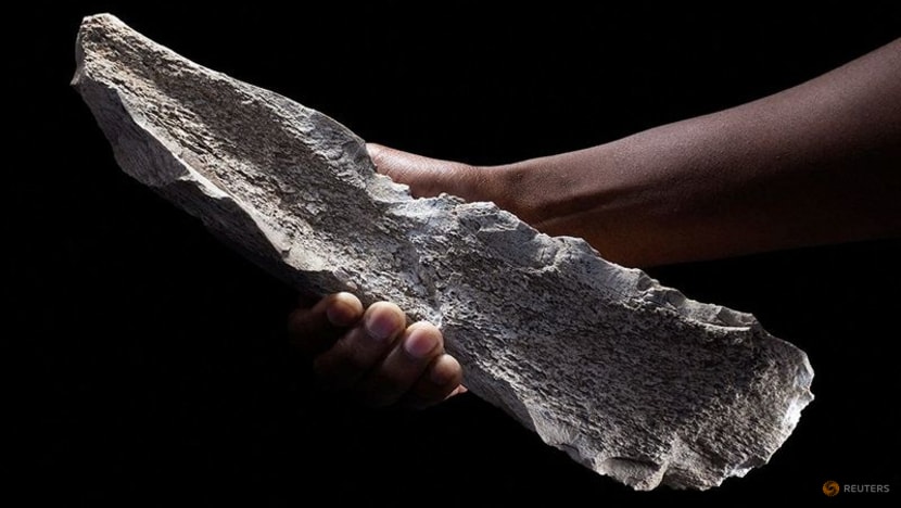 Tools made from elephant and hippo bones show ingenuity of human ancestors