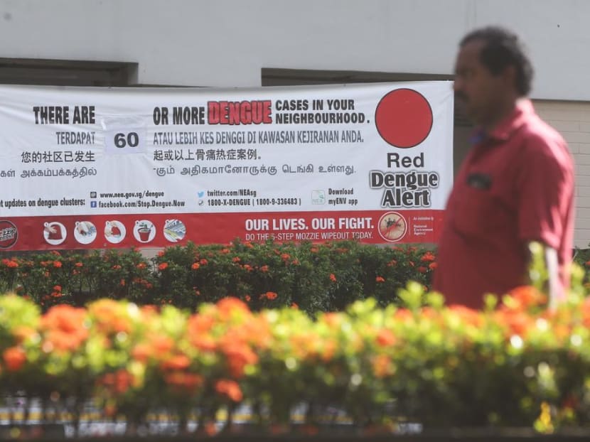 The authorities warned that with the arrival of the dengue peak season from May to September, the number of dengue cases this year is projected to surpass 2019's 16,000 cases, unless immediate measures are taken. The authorities warned that with the arrival of the dengue peak season from May to September, the number of dengue cases this year is projected to surpass 2019's 16,000 cases, unless immediate measures are taken.