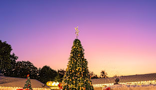 'முதல் முறையாக வைக்கப்பட்ட கிறிஸ்துமஸ் மரம், மரமே இல்லை' - சுவையான தகவல்கள்