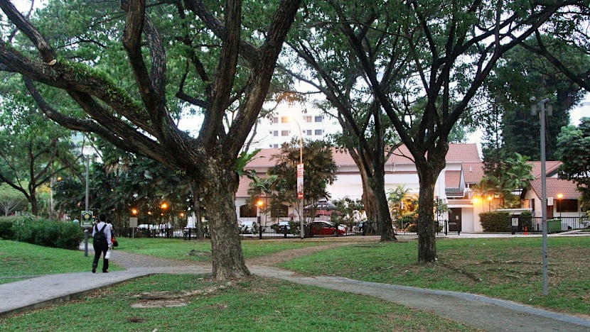NParks does U-turn on art project to colour trees blue after backlash