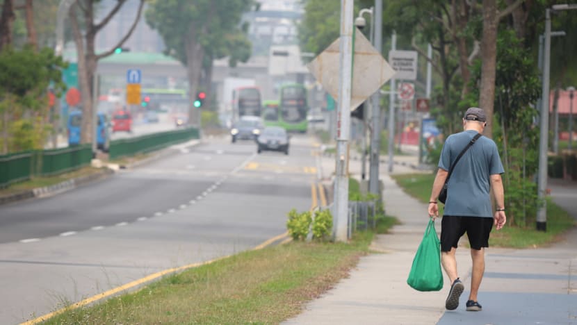 Singapore has 'sufficient stock' of masks should haze situation worsen: Grace Fu