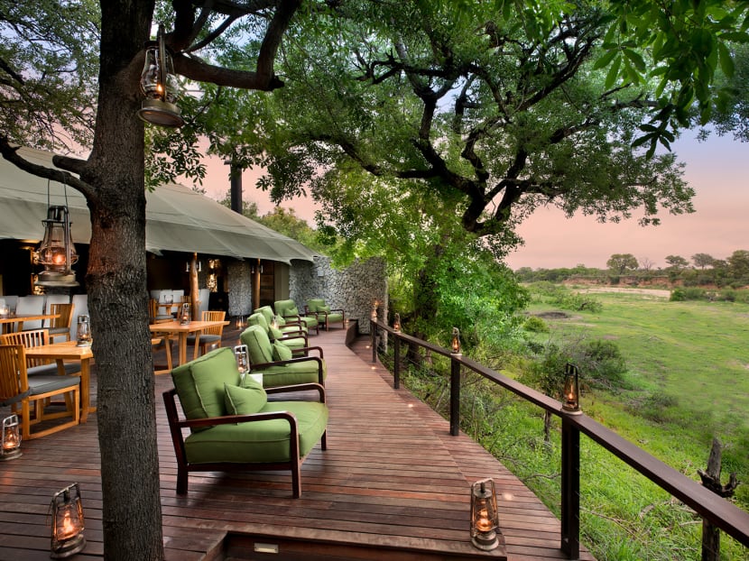 Why rough it out in a South African safari when you can check-in to Ngala Tented Camp 