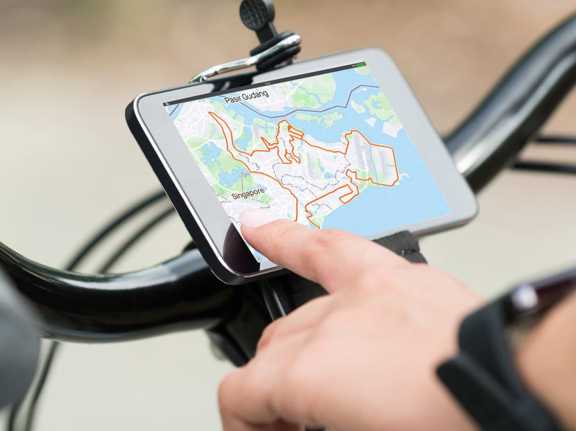 Dinos and pandas: When Singapore cyclists get artistic with their GPS routes