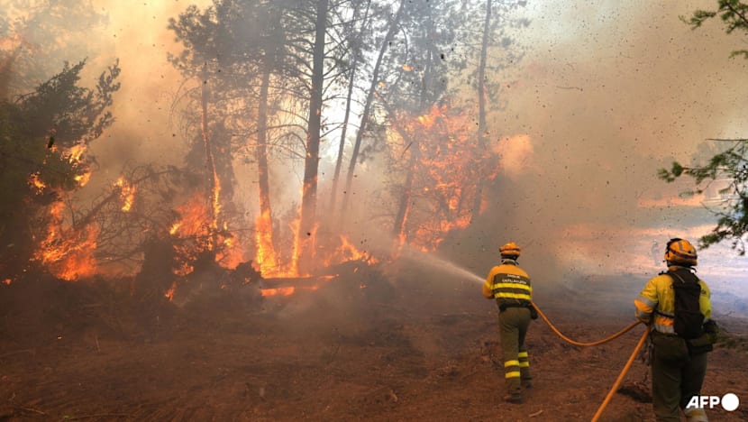 Devastating wildfires send 267,000 fleeing in France and Spain