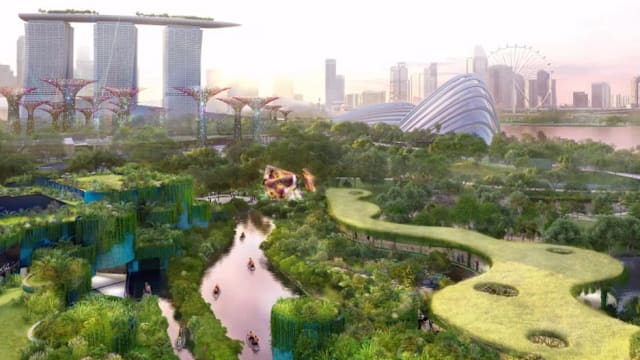 滨海湾花园翠鸟湿地扩大 新博物馆提供沉浸式自然体验 