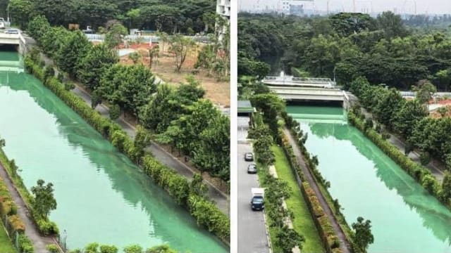 义顺弄水渠变“绿河” 林纬量：环境局正调查
