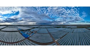 Chinese Spirulina Industry Expands Global Reach, Promoting Health and Nutrition Benefits Chinese Spirulina Industry Expands Global Reach, Promoting Health and Nutrition Benefits
