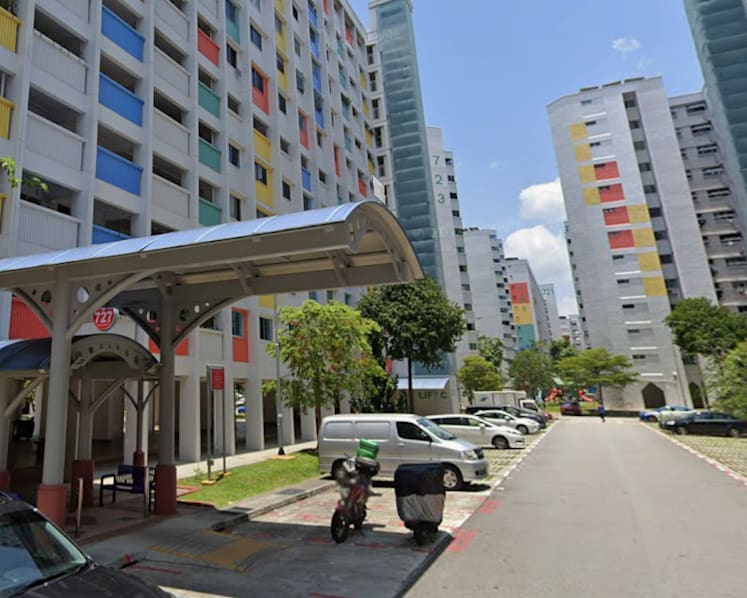 Woman, 67, charged with feeding pigeons near various HDB blocks in Yishun