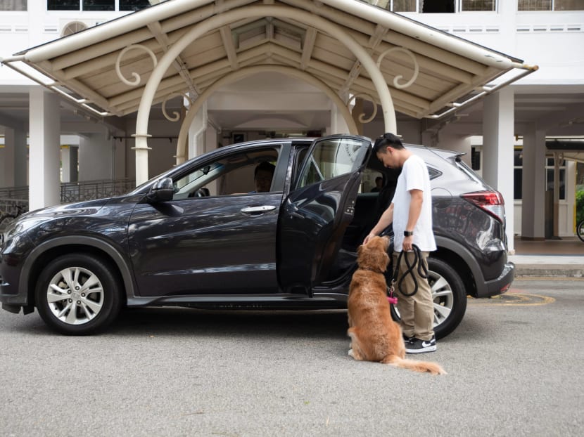 The GrabPet Beta service allows customers to book on-demand transportation services to ferry their dogs, cats and other animal companions.