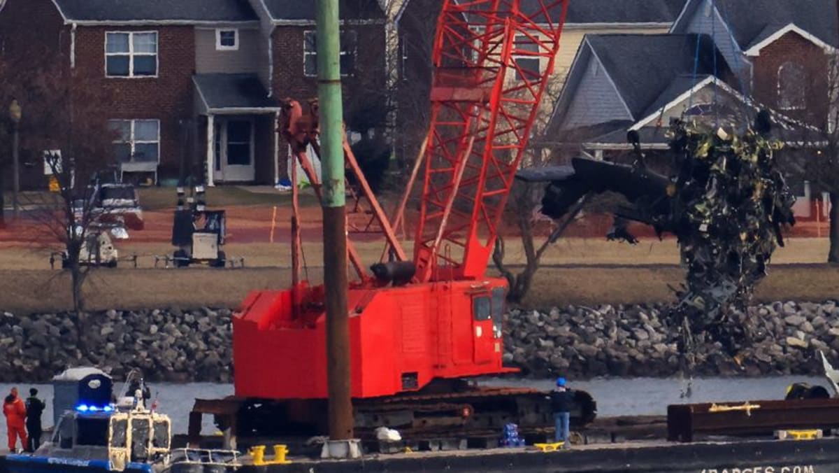 US House panel opens investigation into fatal jet helicopter collision
