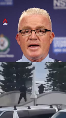 Bondi gunmen had Islamic State flags, had travelled to the Philippines: Australia police