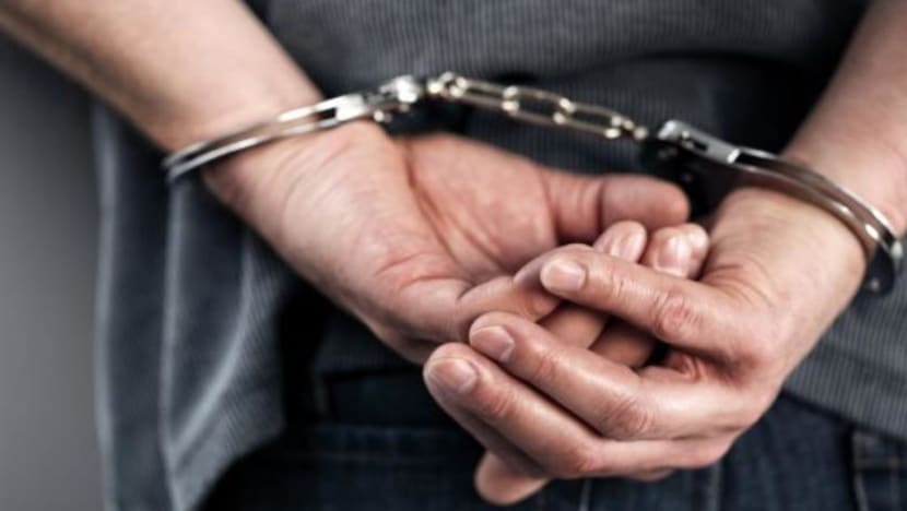 Man jailed 3 months for poking neighbour's chest with samurai sword