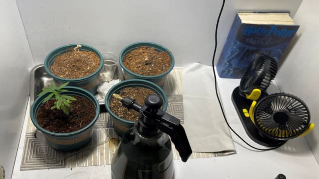 肃毒局12天扫荡行动逮捕159人 年纪最小为中二生