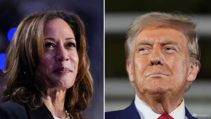 அமெரிக்க அதிபர் தேர்தலின் இறுதிக்கட்டம் - யாருக்கு வெற்றி? அரசியல் கவனிப்பாளர்களின் கருத்துகள் 