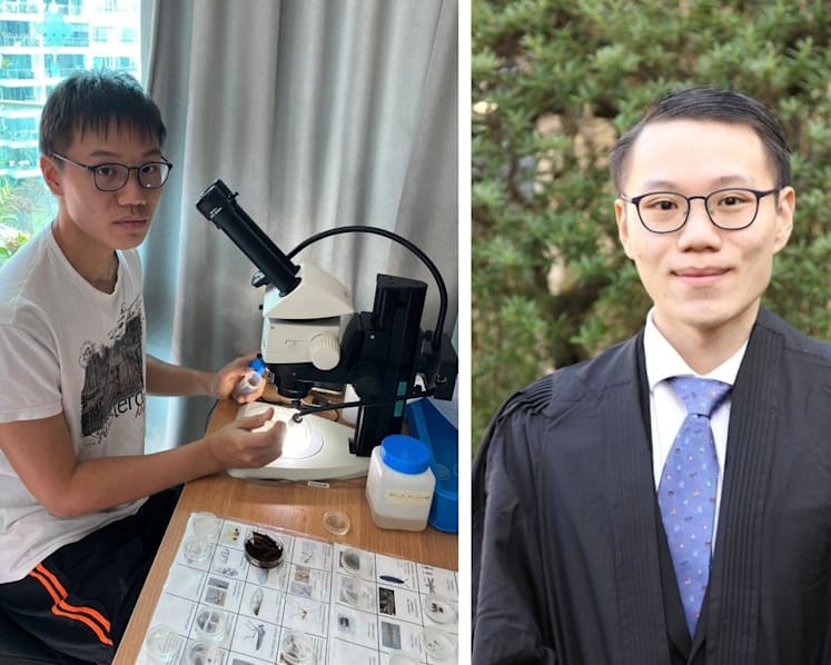 Gen Y Speaks: I chose not to study medicine because of my love for insects