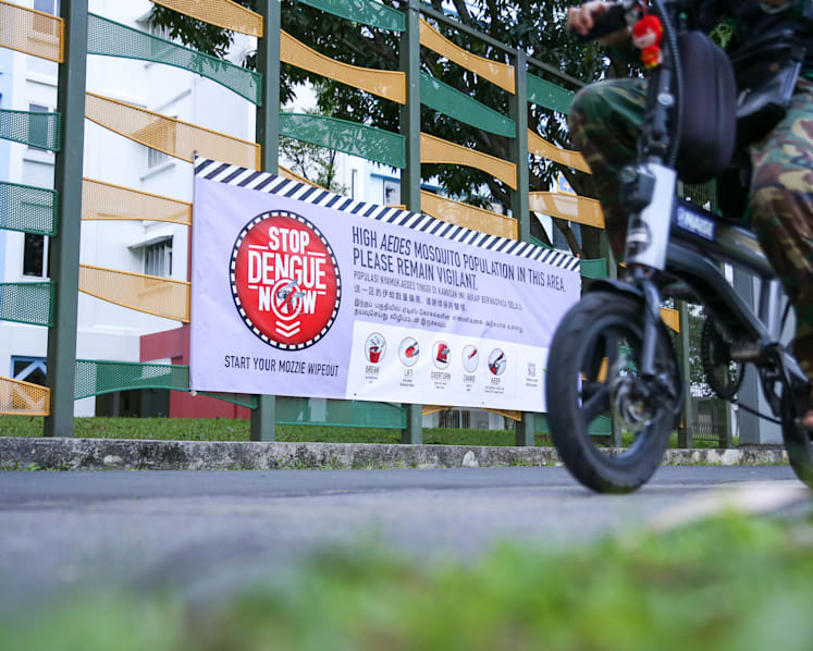 More than 6,000 dengue cases reported in 2022 so far, exceeding total cases in 2021