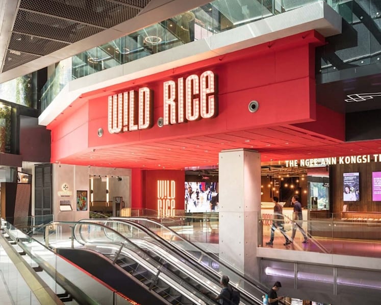 Singapore pulls Wild Rice play Homepar for undermining anti-drug policy; theatre company rejects ban