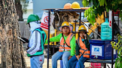 Related article image