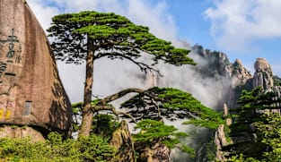 Huangshan Launches “Movie of Your Life” Themed Routes, Offering Korean Travelers a New Cinematic Destination