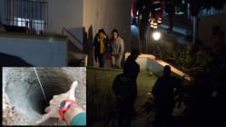 Related article image