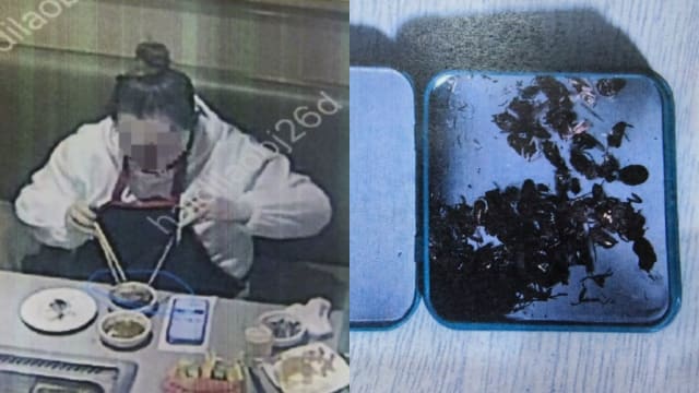 中国女子投放死虫 六次敲诈海底捞