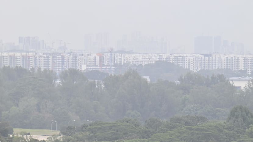 Burning smell across Singapore may be due to 'mixture of gases' from region's peatland, vegetation fires: NEA