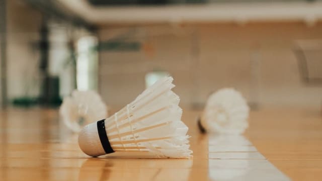  意大利羽毛球国际赛: 我国女子双打组合获得亚军