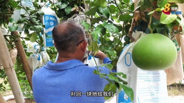 霹柚农叹耕地问题无下文 望胜选议员改善农民生活