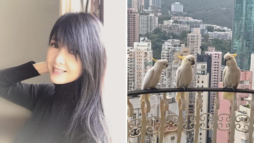 vivian_chow_parrots