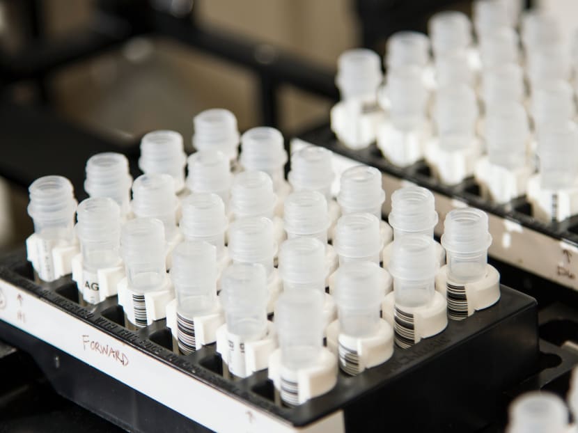 Gene editing has been revolutionised by the development of tools like Crispr-Cas-9, which won its co-creators the Nobel Chemistry Prize last year and which can change the DNA of animals, plants and micro-organisms with extreme precision.