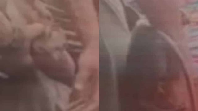 涉强迫猴子饮酒吸烟 芭提雅外籍男子遭受指责