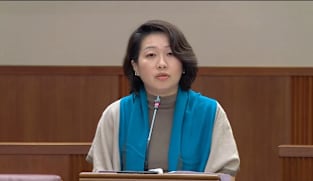Gho Sze Kee on Finance (Income Taxes) Bill