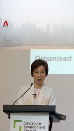 Singapore looking to strengthen haze law and address 'enforcement gaps': Grace Fu