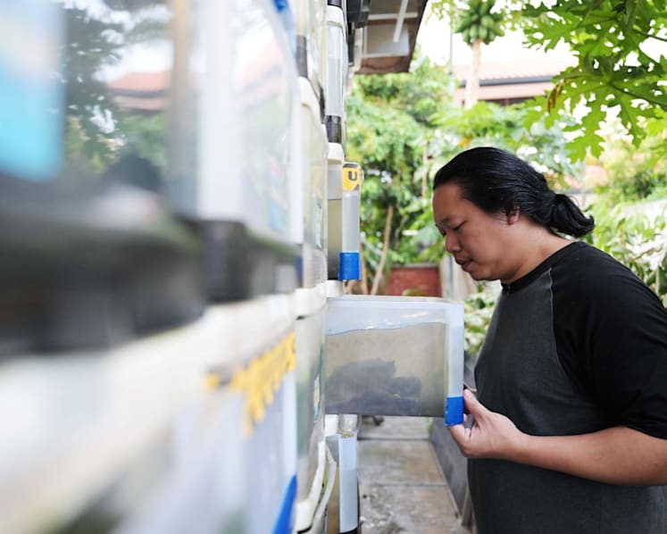How one urban farmer is making crab farming a reality in Singapore flats