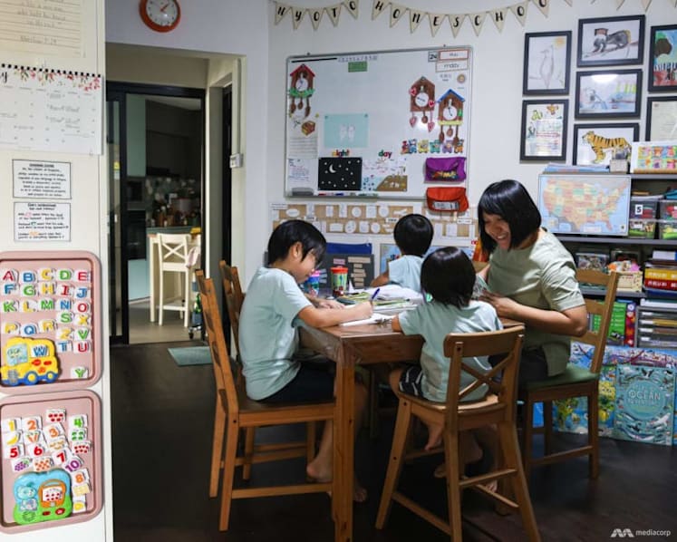 The Big Read: Not for the faint-hearted - inside the world of homeschooling and how to tell if it works for your family