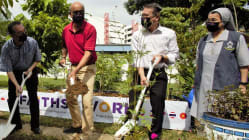 Related article image