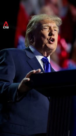 Trump promises US$5,000 payout if Republicans win Congress