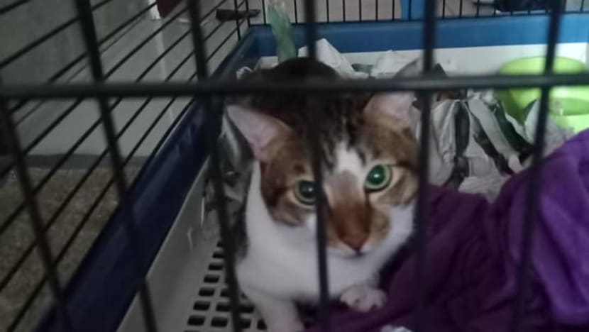 Related article image