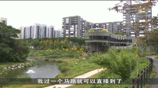 口试练习：阿卡夫湖重现比达达利公园